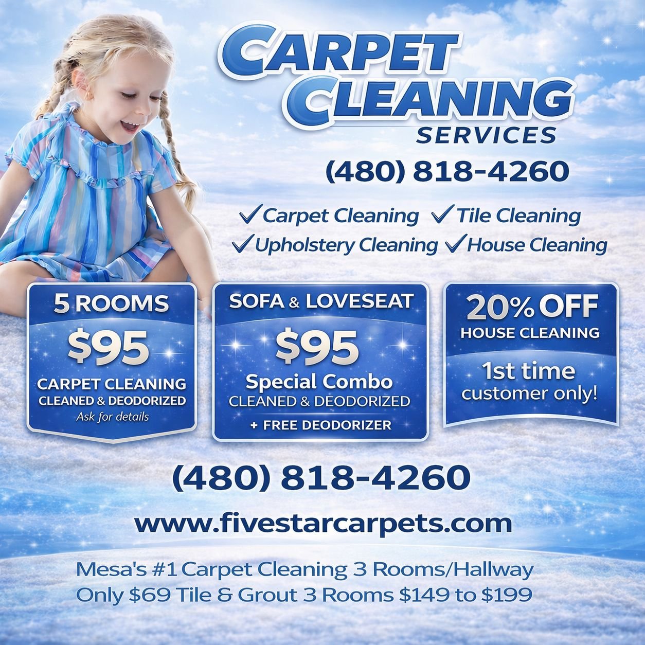 Carpet cleaning expert